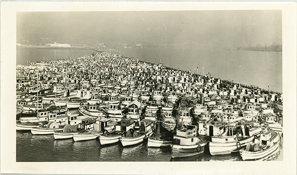 Hundreds of seized fishing vessels